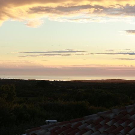 Villa Carolus-Luxurious Istrian Villa Barat  Kültér fotó